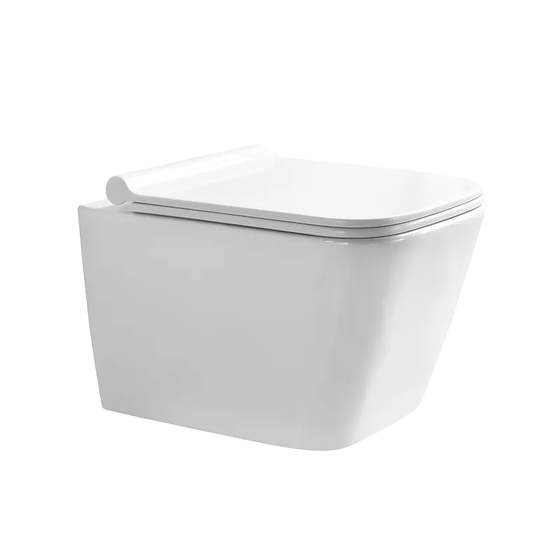 P.Tropez Wall Mounted Toilet