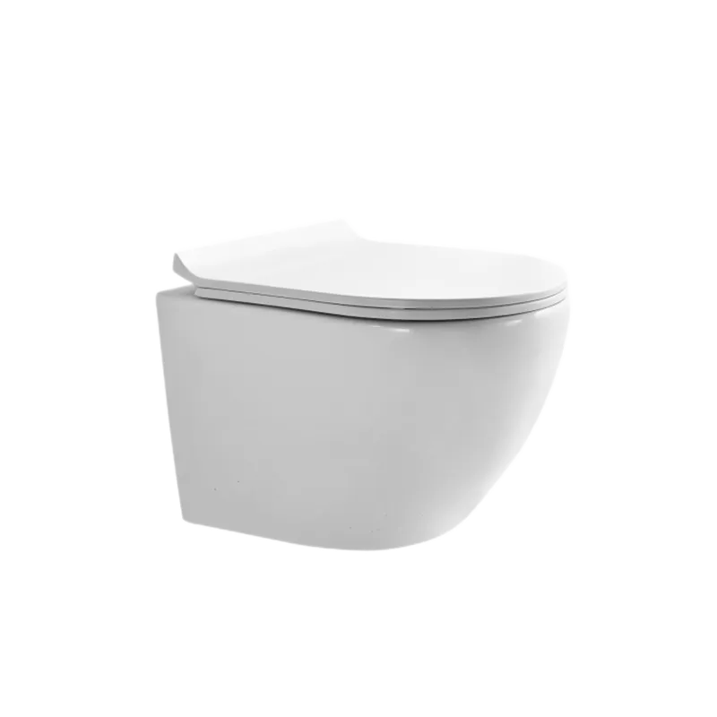 P.Tropez Wall Mounted Toilet