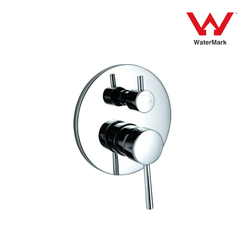 Shower Mixer with Diverter