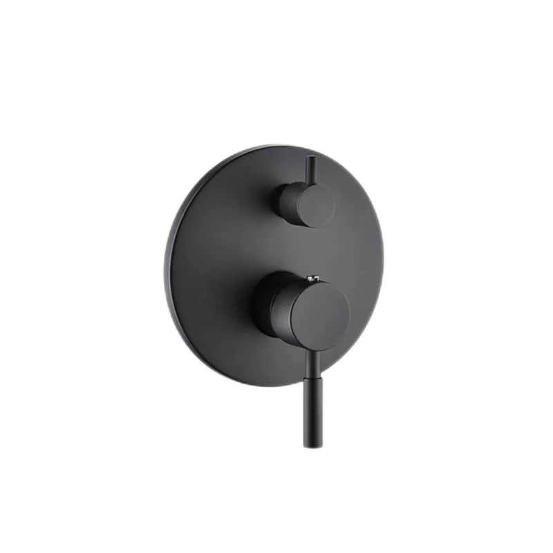 Single Handle Shower Mixer with Diverter (Model T216072) — OTOL Sanitary Ware