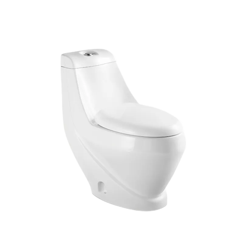 Washdown One Piece Toilet Suite