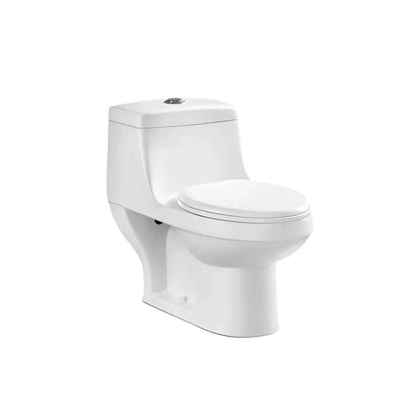Compact Design Washdown Toilet Suites