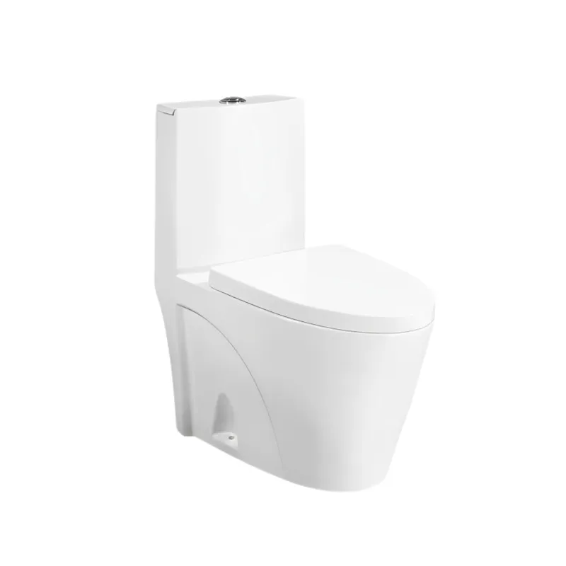 Dual-Flush One Piece Toilet