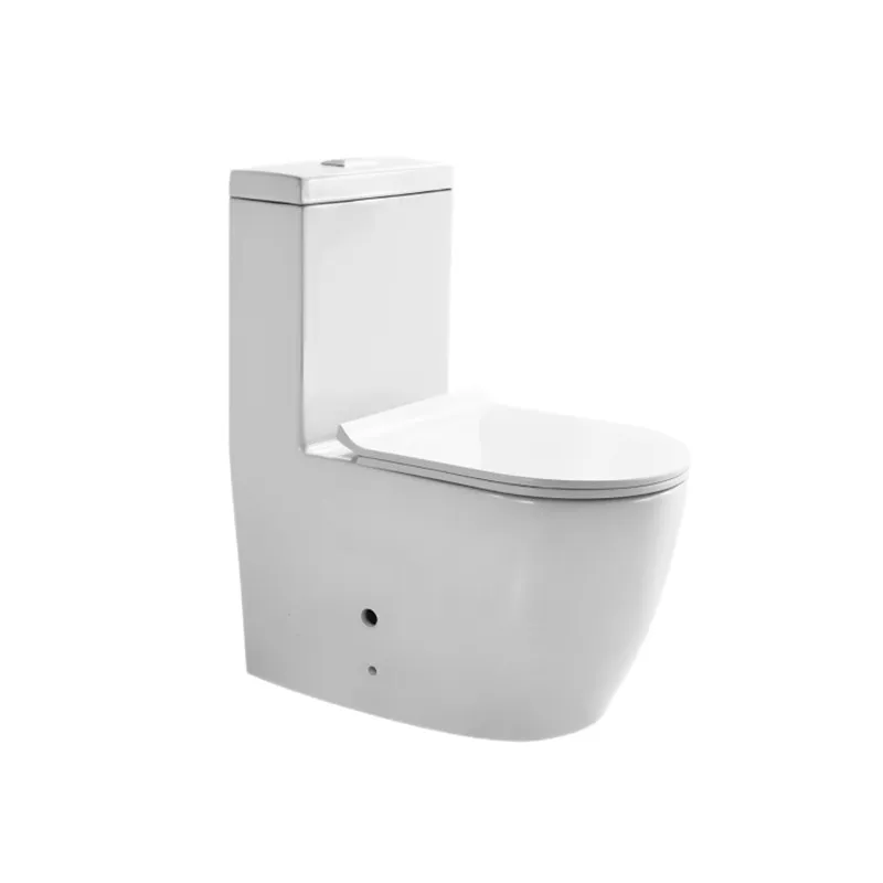 Washdown High-Efficiency Toilet Suites (Model T111004) — OTOL Sanitary Ware