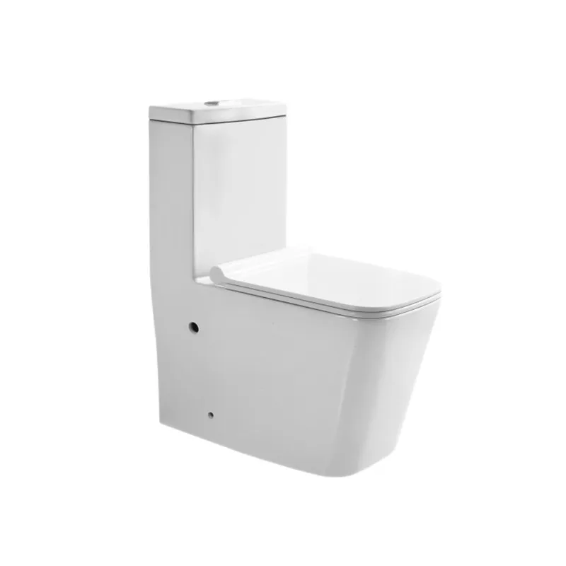 Luxury One Piece Toilets (Model T111003) — OTOL Sanitary Ware