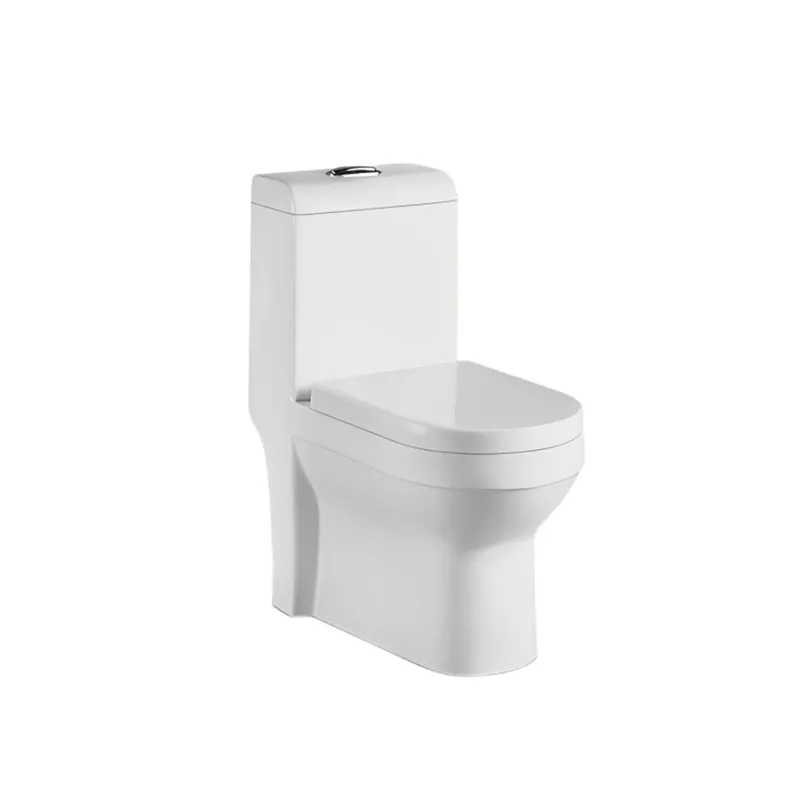 Washdown One Piece Modern Toilet Design