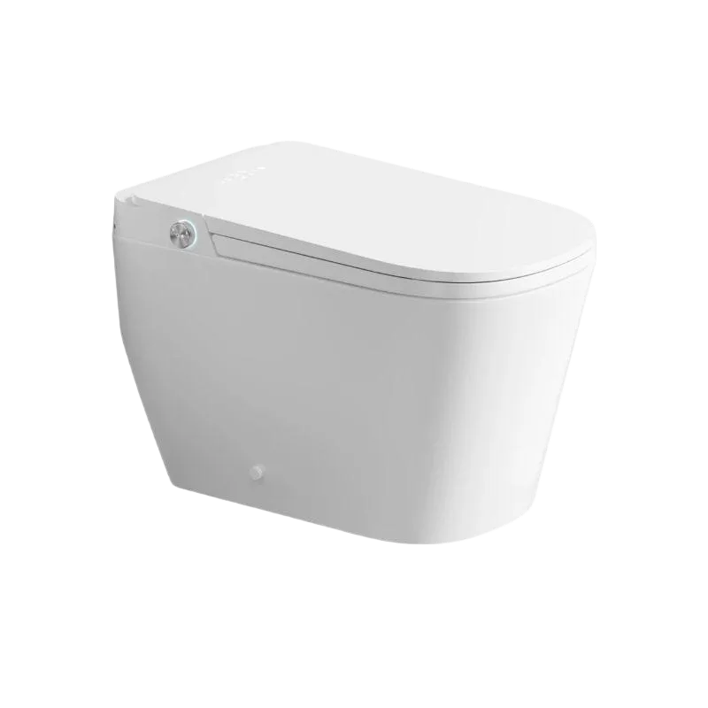Luxury Smart Toilet with Adjustable Nightlight & Heated Air Dryer