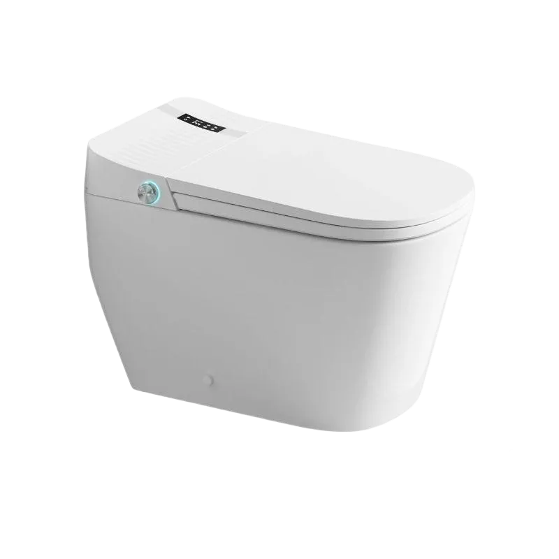 Modern One-Piece Smart Toilet