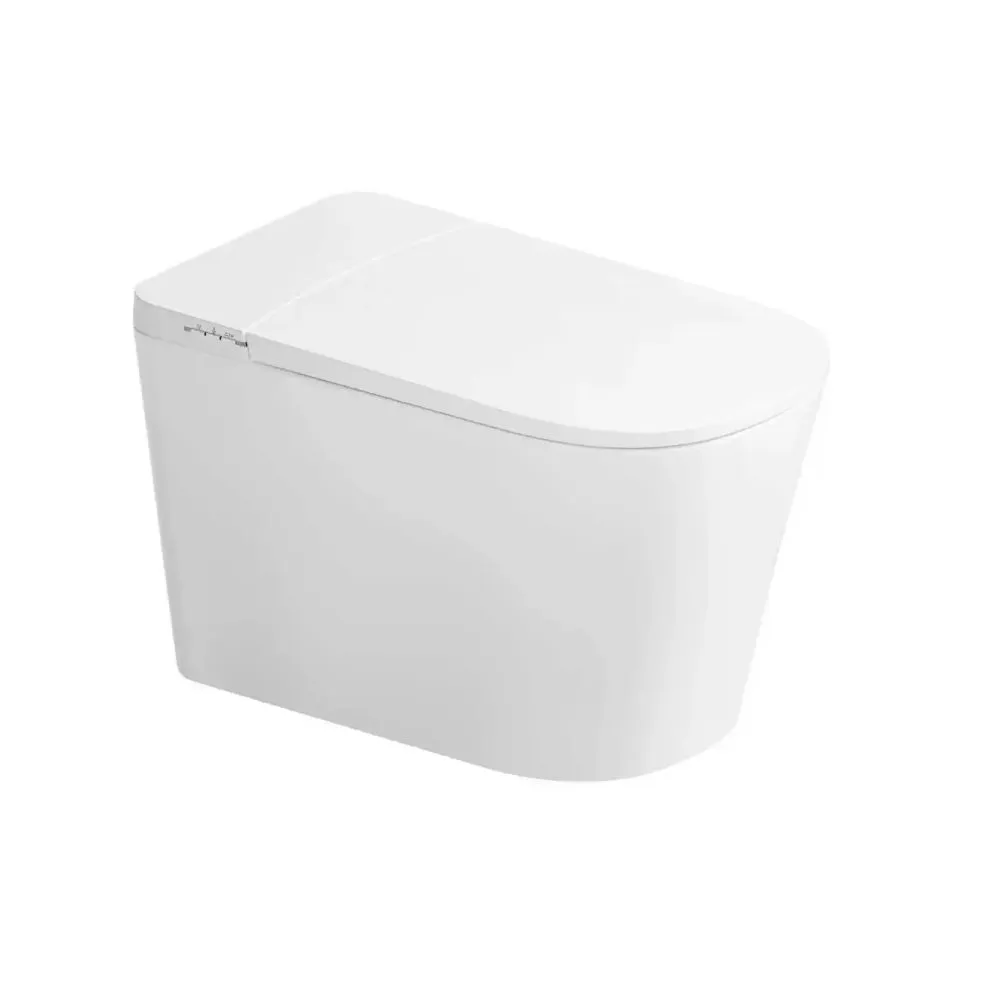 SMART TOILET SUITE WITH WATER TANK